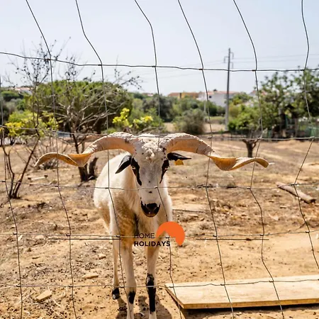 #178 Monte Churras 1 By Holidays Ferienhaus Albufeira