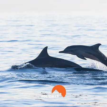 #178 Monte Churras 1 By Holidays * Albufeira